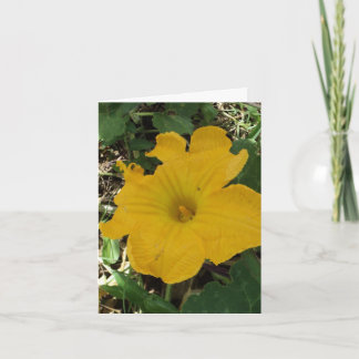 Tacka dig notecarden tack kort