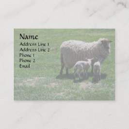 Tacka med twillingar visitkort