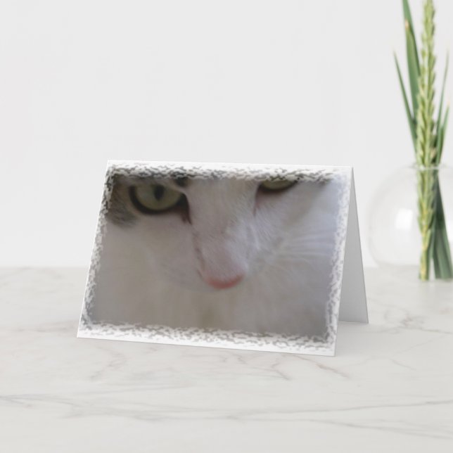 Tacka Mew Tack Kort (Framsida)