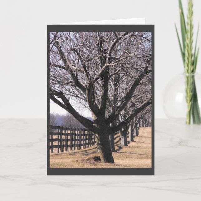 Tacka våra veteran 6 helgkort (Framsida)