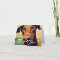 TackDoberman