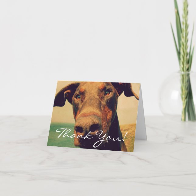 TackDoberman Tack Kort (Framsida)