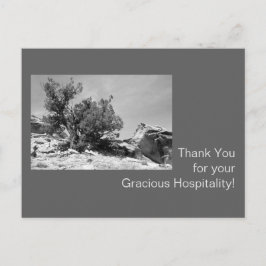 Tacken Black and White Hospitality Vykort