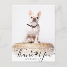 Tacken personlig Script Pet Memorial Photo