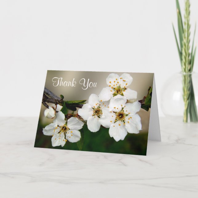 Tacken White Cherry Blommar Flowers Tack Kort (Framsida)