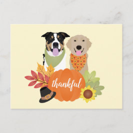 Tackfulla hundar Thanksgiving skördepumpa Vykort
