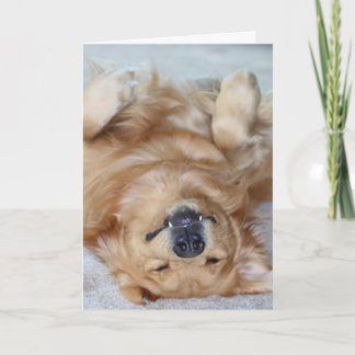 Tackhuggtänder Tack Kort