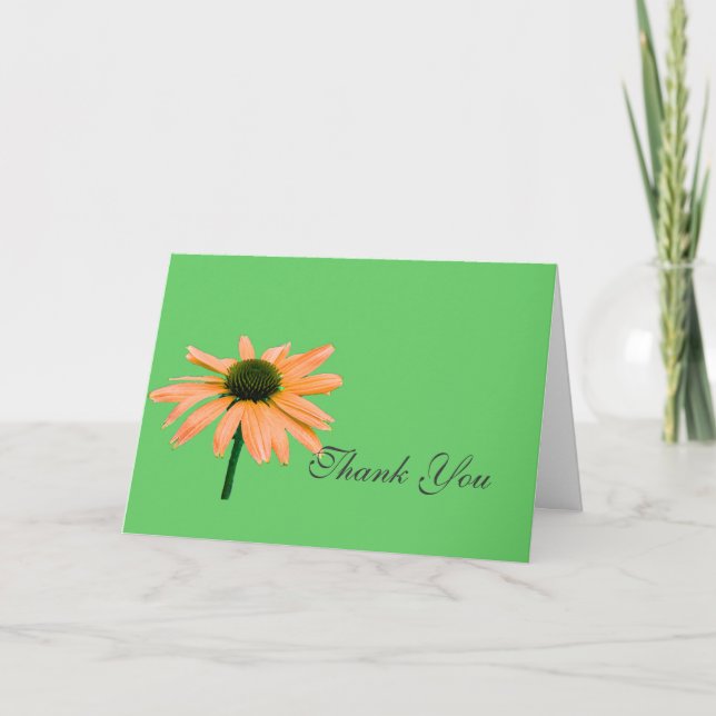 tackkort,daisy blommor tack kort (Framsida)