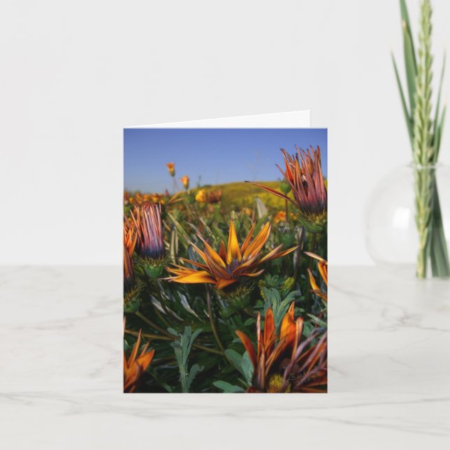 Tackkort: Fält av blommor Tack Kort (Framsida)