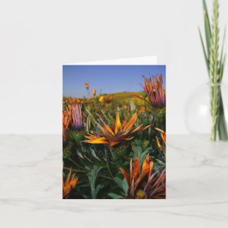 Tackkort: Fält av blommor Tack Kort