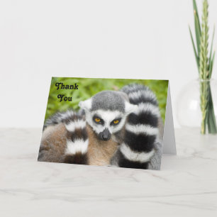 Tackkort - gullig LemurStripey svan