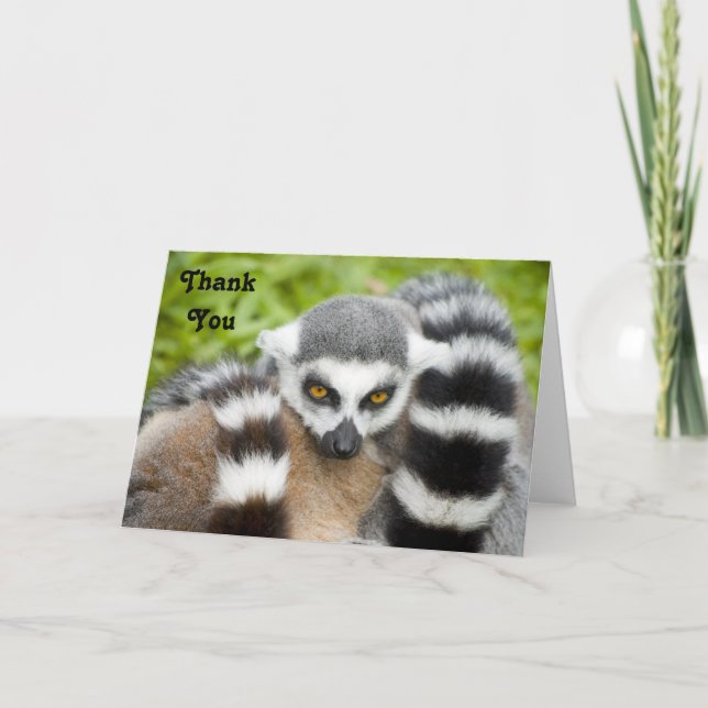 Tackkort - gullig LemurStripey svan (Framsida)
