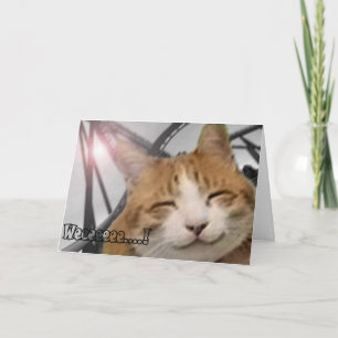 Tackkort - lycklig katt