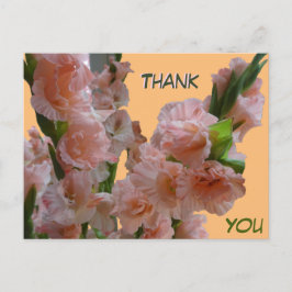 Tackkort med pastell orange rosa gladiolus vykort