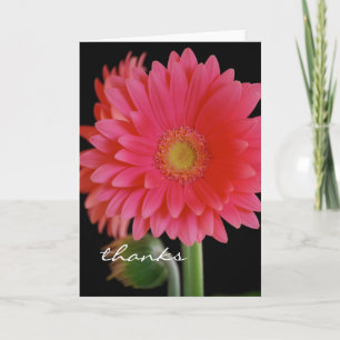 Tackkort med rosa gerbera