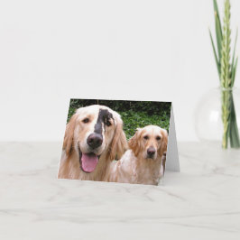Tackkort till Golden Retriever-hundarna Peter Fox 
