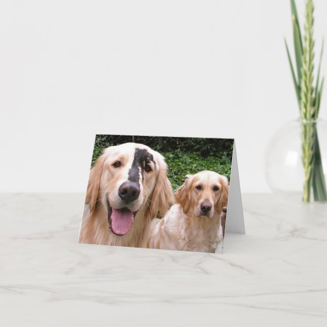 Tackkort till Golden Retriever-hundarna Peter Fox  (Framsida)