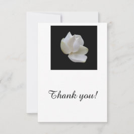 Tackkort, tomt, med vit Magnolia-blomma Tack Kort