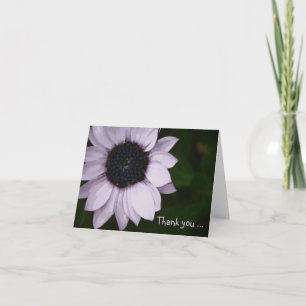 Tackkortkort - purpurfärgad Senetti blomma Tack Kort