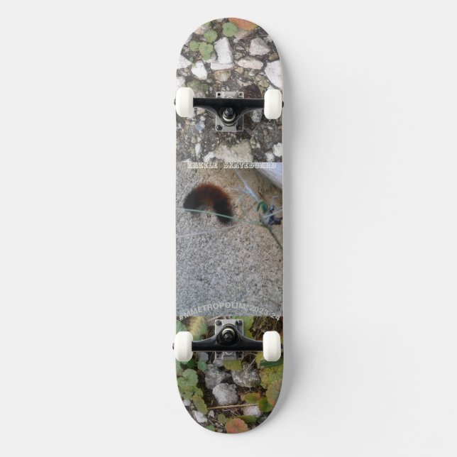 Täckpelare på däckscentraler på skateboard (Framsida)