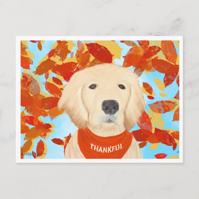 Tacksam - Faller In I Mitt Liv Postkort Vykort (Framsida)