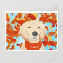 Tacksam - Faller in i mitt liv vykort