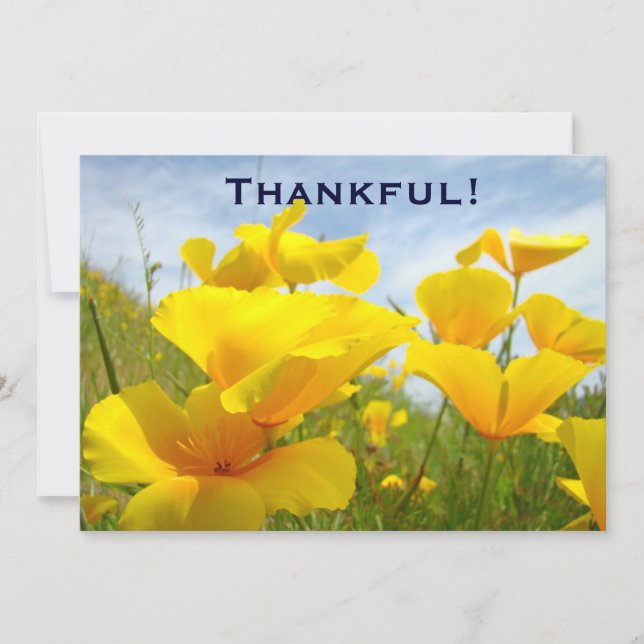 Tacksamt! Beställnings- volontärlunch för Tack Kort (Framsida)