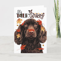 Tacksgiving Boykin Spaniel Hund Låt Oss Prata Kalk