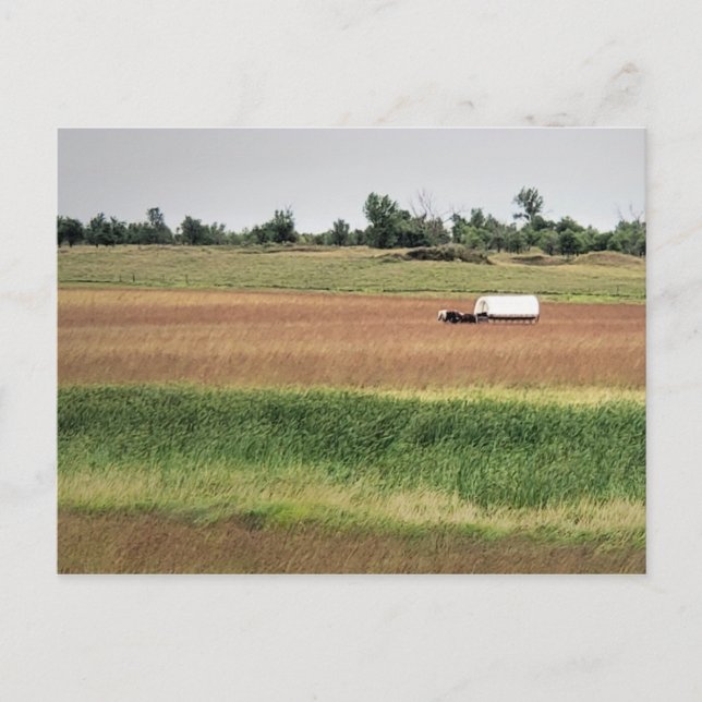 Täckt godsvagn på Laura Ingalls Wilder Homestead Vykort (Framsida)