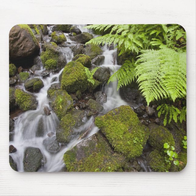 Täckt Moss vaggar med suddigt vatten och ferns Musmatta (Framsidan)