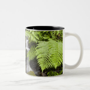 Täckt Moss vaggar med suddigt vatten och ferns Två-Tonad Mugg