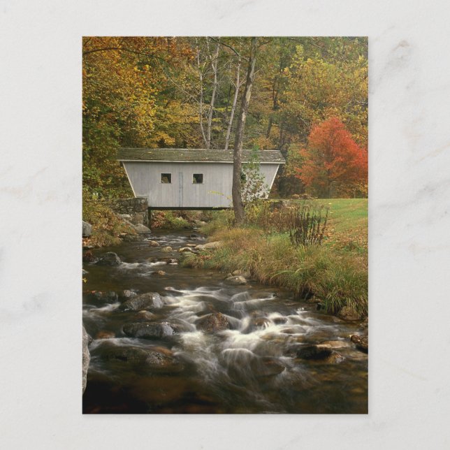 Täckt nationalpark för broväxt i Kent Falls Vykort (Framsida)