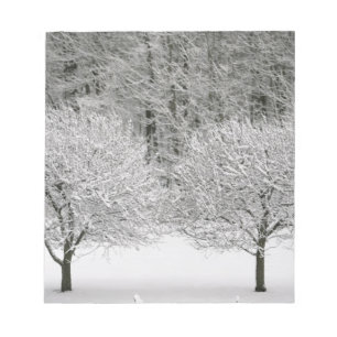 Täckt snö landskap anteckningsblock