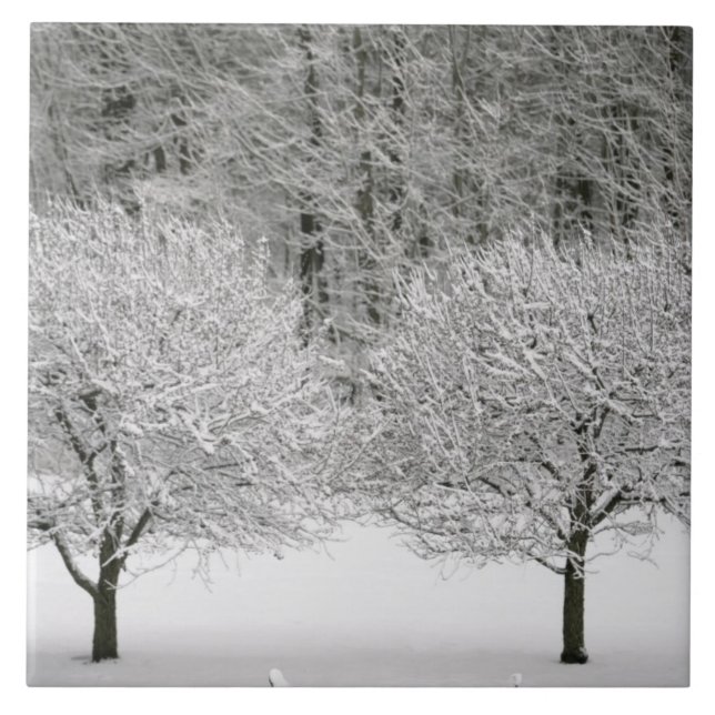 Täckt snö landskap kakelplatta (Framsidan)