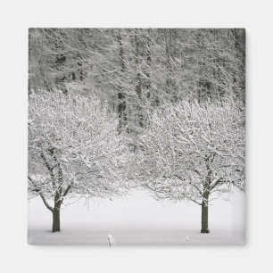 Täckt snö landskap magnet