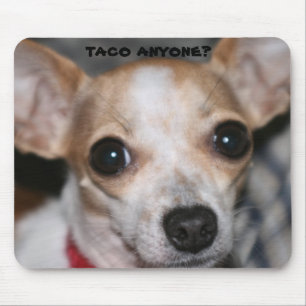Taco Bell hund Musmatta