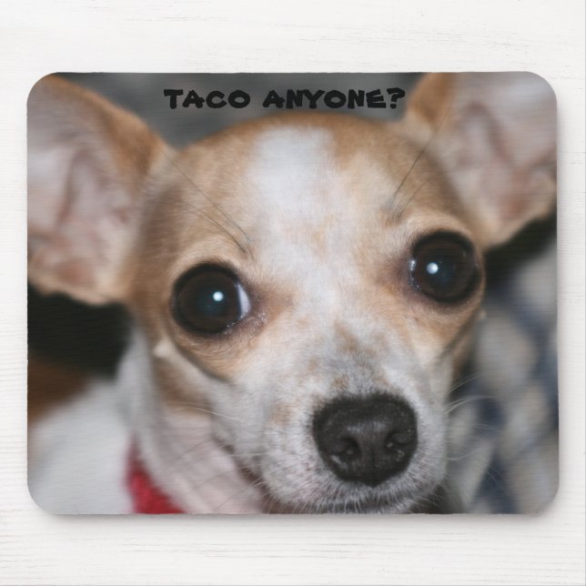 Taco Bell hund Musmatta (Framsidan)