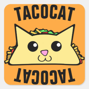 Taco Cat Fyrkantigt Klistermärke
