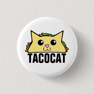 Taco Cat II Knapp