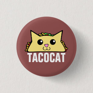 Taco Cat Knapp