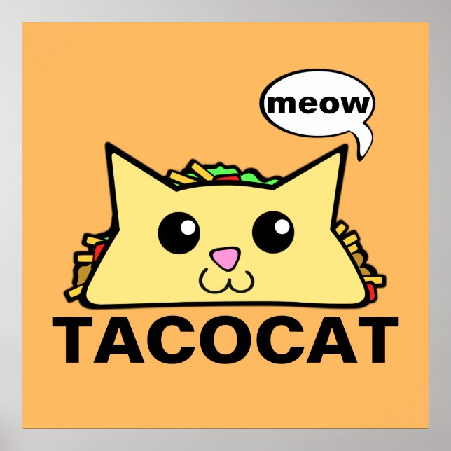 Taco Cat Poster (Framsidan)