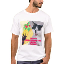 Taco Cat som är baklänges är Taco Cat