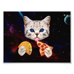Taco, Kat och pizza Fototryck
