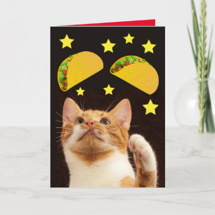 TACO SPACE CAT CHRISTMAS CARDS KORT
