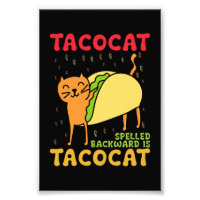 Tacocat Baklänges Tacos Cats Cinco De Mayo
