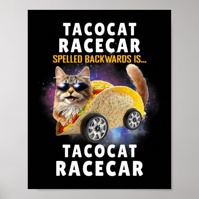 Tacocat Racecar Spelling Backwards Lunt Mexikanskt Poster (Framsidan)
