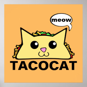 Tacokatt Poster