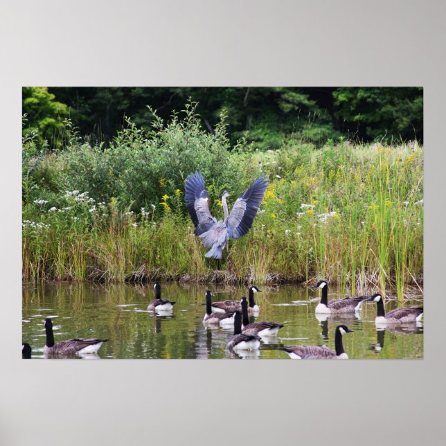 TADA! POSTER (Framsidan)