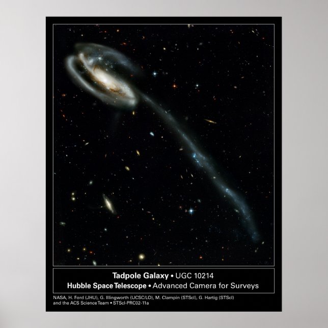 Tadpole Galaxy Hubble Telescope Photo Poster (Framsidan)