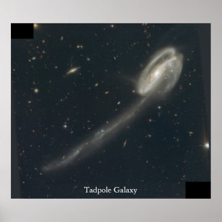 Tadpole Galaxy Poster